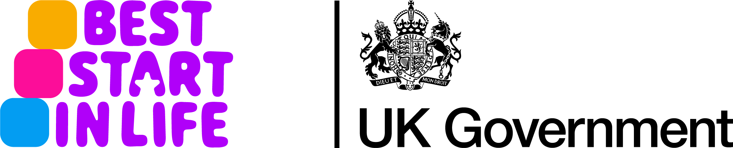 2025.09.08_BSIL_UK_Govt_logo-002